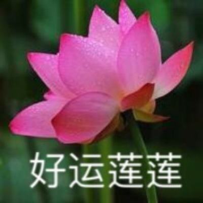 我叫mt世界变态版下载